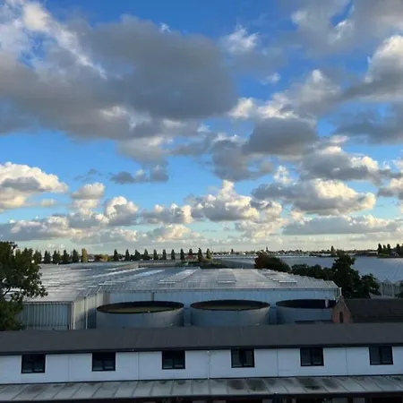 Elzenhagen Poeldijk