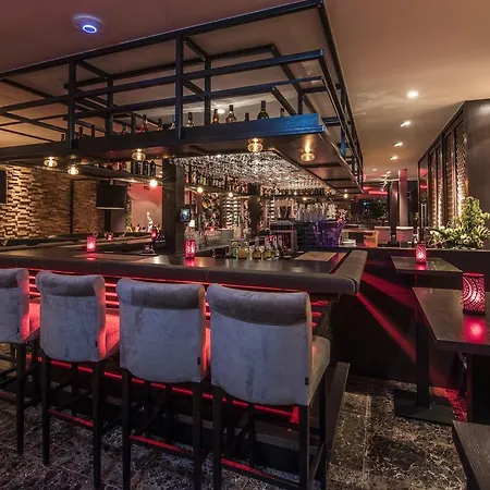 ホテル Elzenhagen Poeldijk