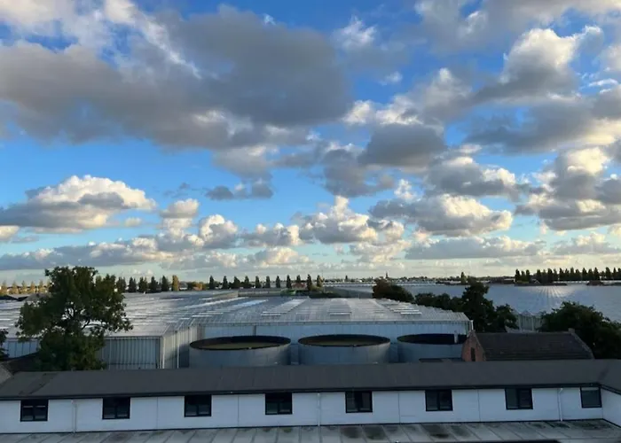 Elzenhagen Пулдейк