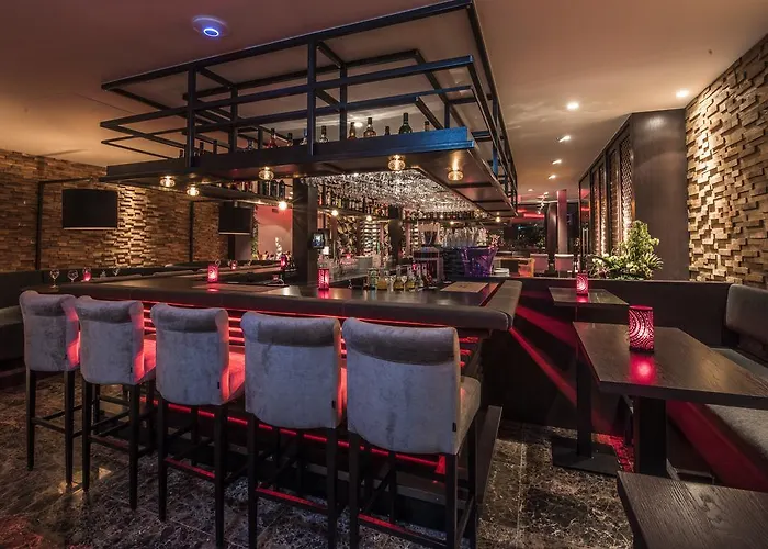 Hotel Elzenhagen Poeldijk